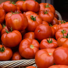 Tomato (Nattu)