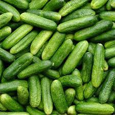 Regular Cucumber