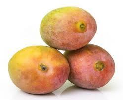 Senthooram Mango