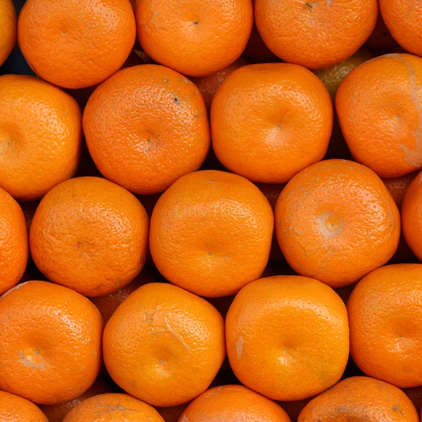 Kamala Orange